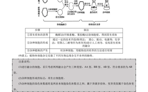 GKSW150_第28讲细胞工程-备战2022年高考生物一轮复习精品讲义（人教版）(原卷版)_新高考复习资料_2022年新高考复习资料_备战2022新高考生物一轮复习精品讲义（人教版）