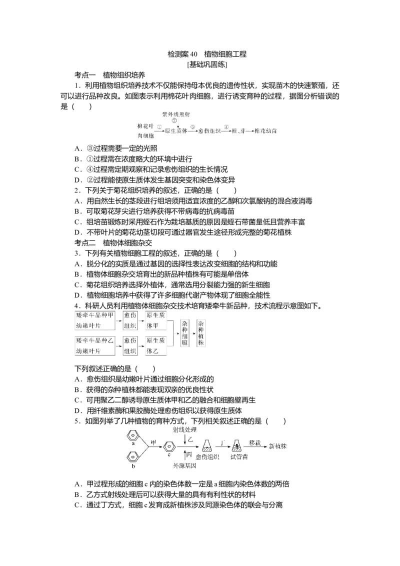 2025届高中生物学一轮复习检测案40　植物细胞工程（含解析）_2025年新高考资料_一轮复习_2025届高中生物学一轮复习分层复习检测(含解析)