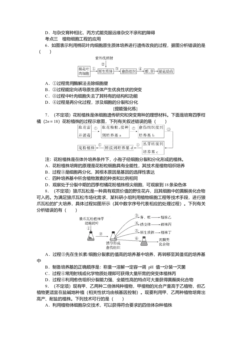 2025届高中生物学一轮复习检测案40　植物细胞工程（含解析）_2025年新高考资料_一轮复习_2025届高中生物学一轮复习分层复习检测(含解析)