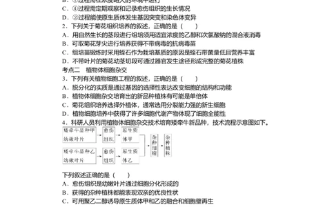 2025届高中生物学一轮复习检测案40　植物细胞工程（含解析）_2025年新高考资料_一轮复习_2025届高中生物学一轮复习分层复习检测(含解析)