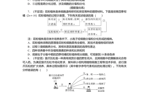 2025届高中生物学一轮复习检测案40　植物细胞工程（含解析）_2025年新高考资料_一轮复习_2025届高中生物学一轮复习分层复习检测(含解析)