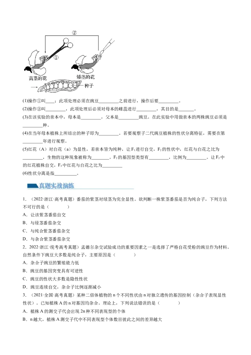 第15讲遗传的基础知识（练习）（原卷版）_2024年新高考资料_1.2024一轮复习_2024年高考生物一轮复习讲练测（新教材新高考）
