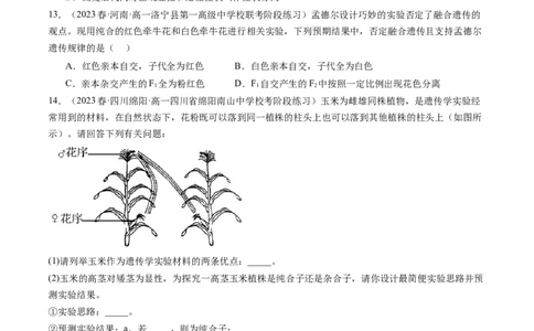 第15讲遗传的基础知识（练习）（原卷版）_2024年新高考资料_1.2024一轮复习_2024年高考生物一轮复习讲练测（新教材新高考）