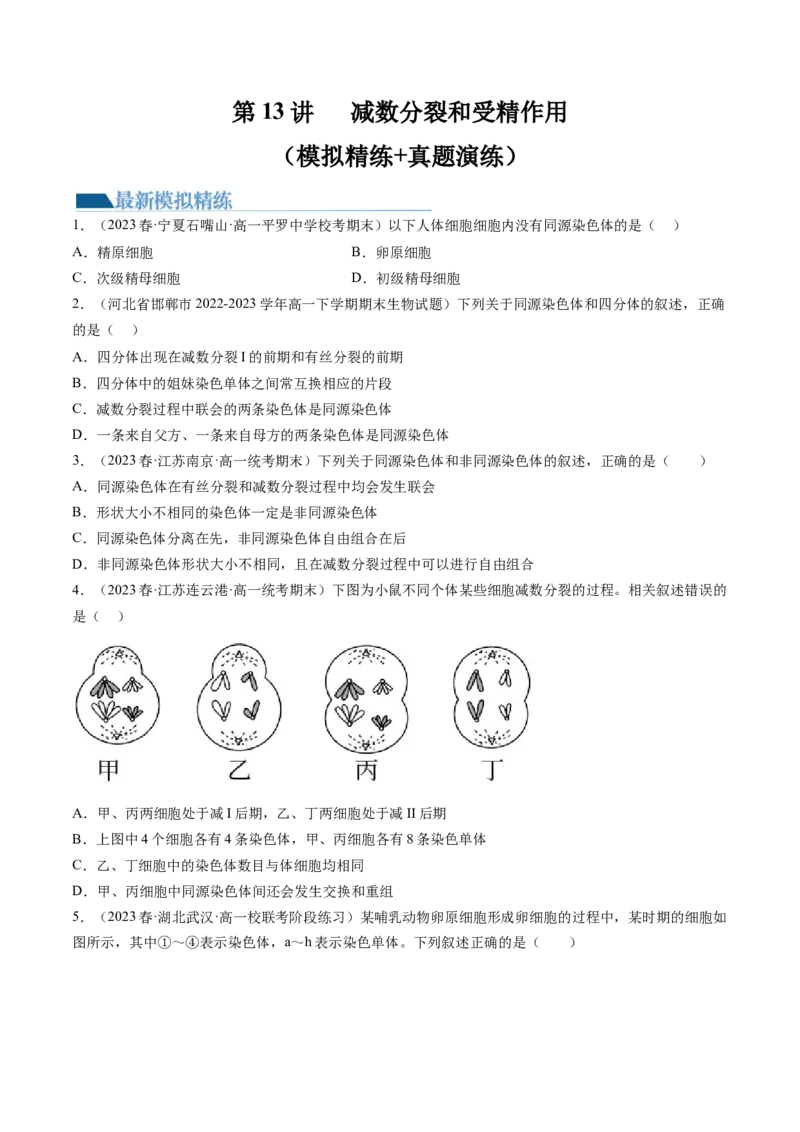 第13讲减数分裂和受精作用（练习）（原卷版）_2024年新高考资料_1.2024一轮复习_2024年高考生物一轮复习讲练测（新教材新高考）