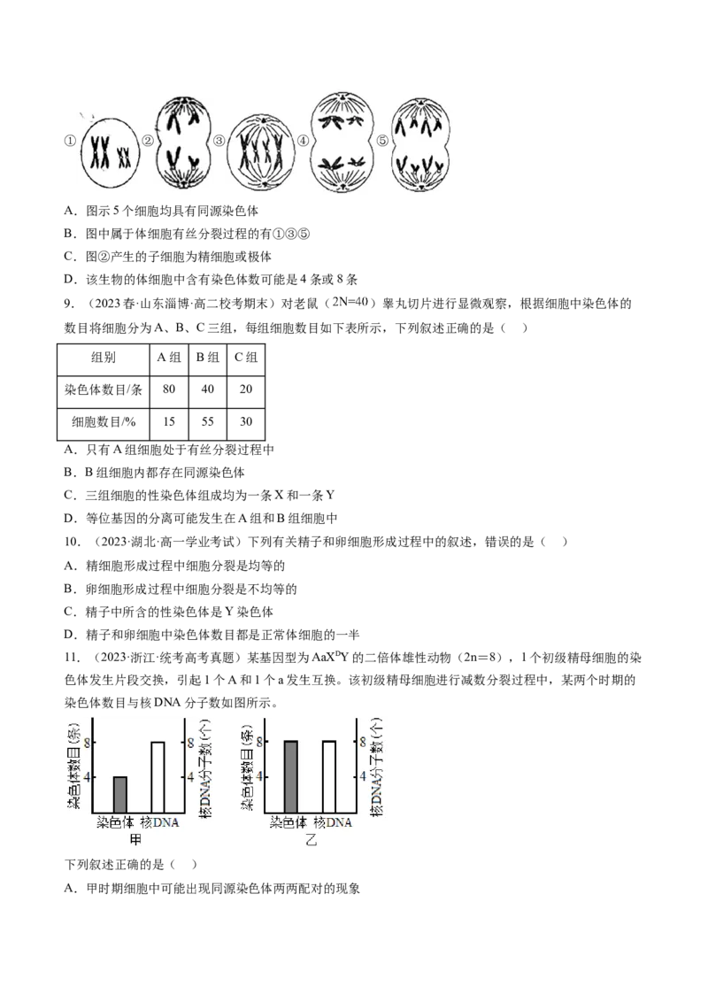 第13讲减数分裂和受精作用（练习）（原卷版）_2024年新高考资料_1.2024一轮复习_2024年高考生物一轮复习讲练测（新教材新高考）
