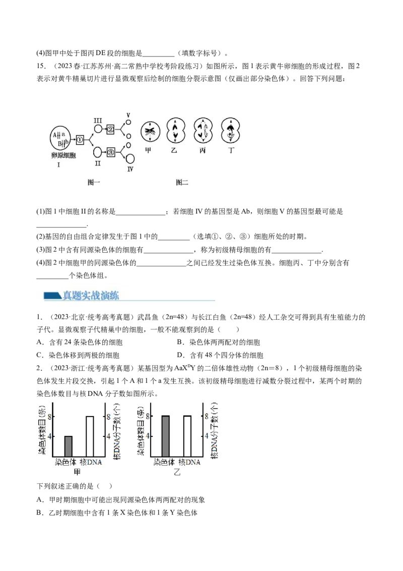 第13讲减数分裂和受精作用（练习）（原卷版）_2024年新高考资料_1.2024一轮复习_2024年高考生物一轮复习讲练测（新教材新高考）