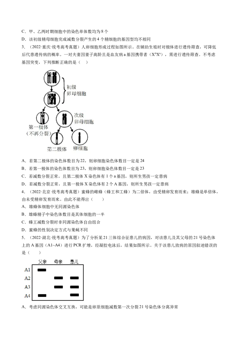 第13讲减数分裂和受精作用（练习）（原卷版）_2024年新高考资料_1.2024一轮复习_2024年高考生物一轮复习讲练测（新教材新高考）