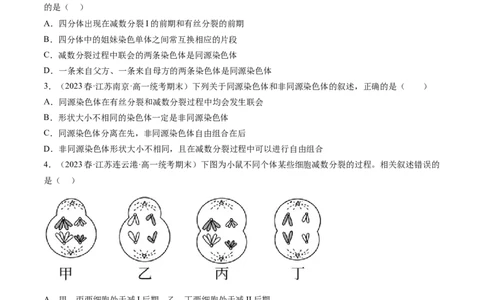 第13讲减数分裂和受精作用（练习）（原卷版）_2024年新高考资料_1.2024一轮复习_2024年高考生物一轮复习讲练测（新教材新高考）