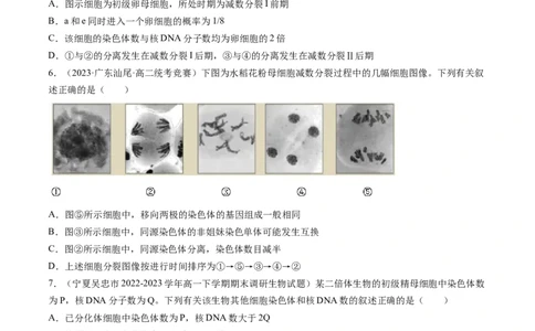 第13讲减数分裂和受精作用（练习）（原卷版）_2024年新高考资料_1.2024一轮复习_2024年高考生物一轮复习讲练测（新教材新高考）