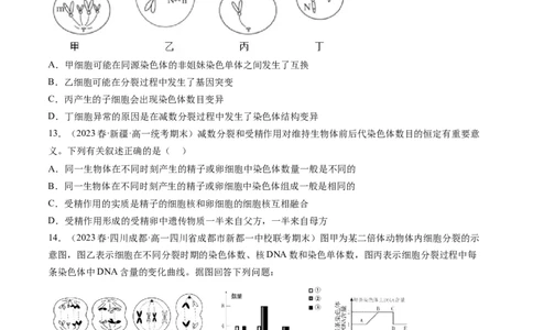 第13讲减数分裂和受精作用（练习）（原卷版）_2024年新高考资料_1.2024一轮复习_2024年高考生物一轮复习讲练测（新教材新高考）