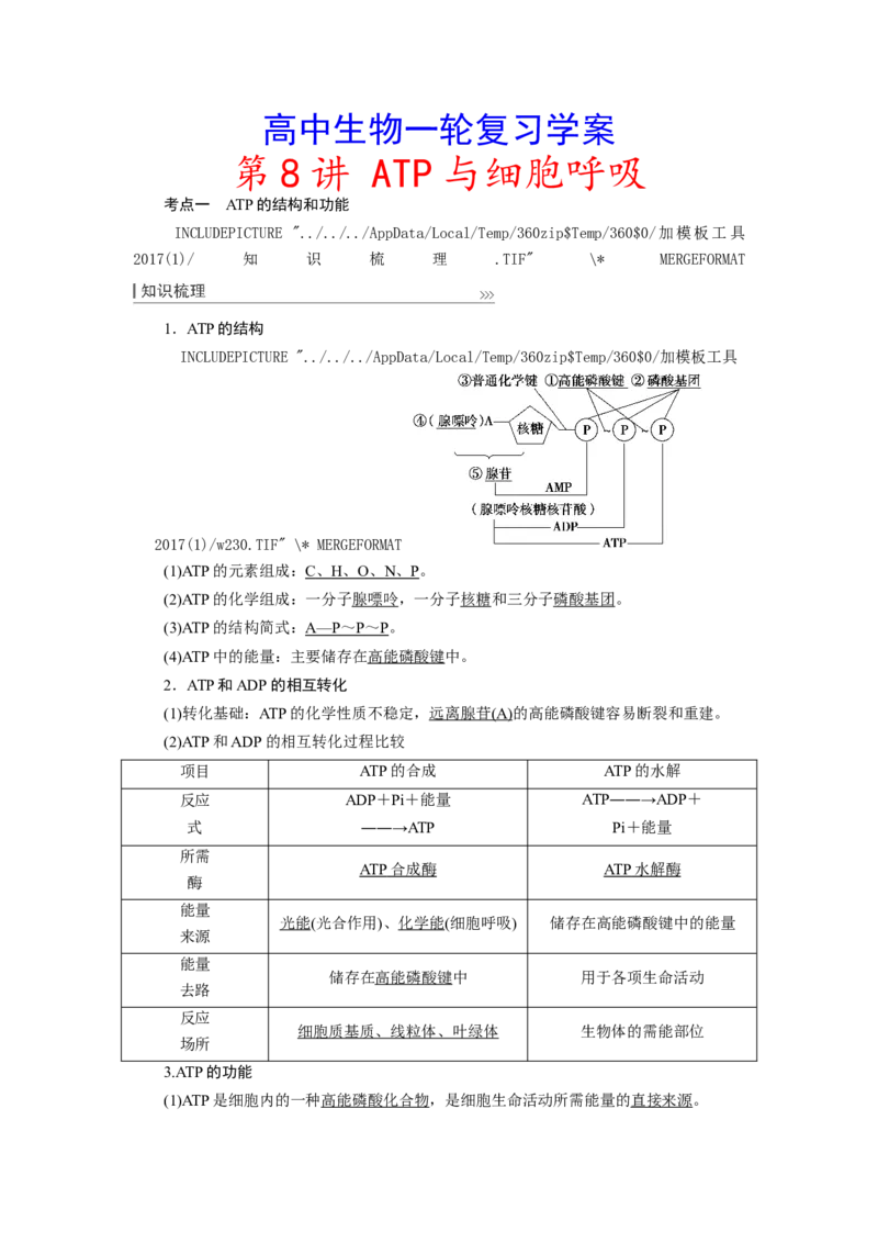[12501779]高中生物一轮复习学案：第8讲　ATP与细胞呼吸_新高考复习资料_2023年新高考复习资料_一轮复习_精讲精练2023届新高考生物一轮复习学案