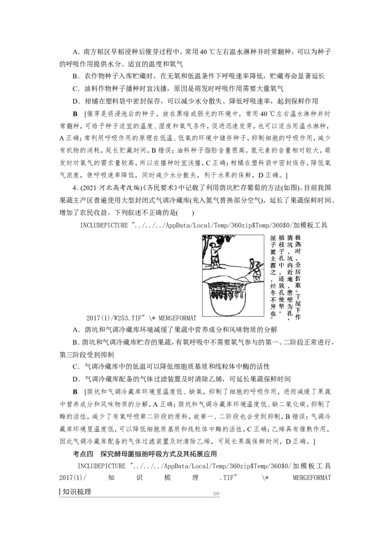 [12501779]高中生物一轮复习学案：第8讲　ATP与细胞呼吸_新高考复习资料_2023年新高考复习资料_一轮复习_精讲精练2023届新高考生物一轮复习学案