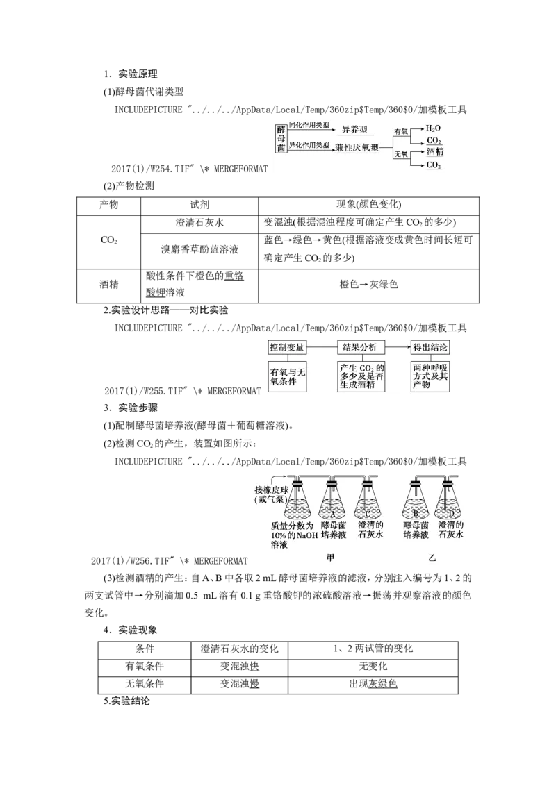 [12501779]高中生物一轮复习学案：第8讲　ATP与细胞呼吸_新高考复习资料_2023年新高考复习资料_一轮复习_精讲精练2023届新高考生物一轮复习学案