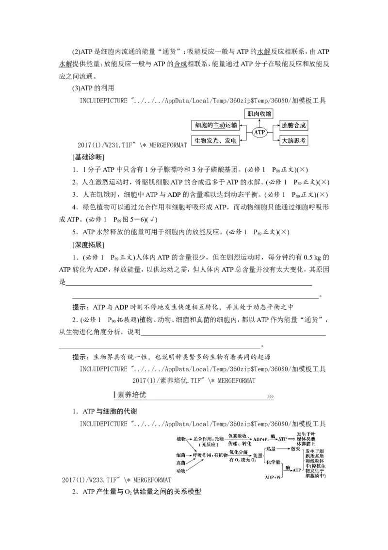 [12501779]高中生物一轮复习学案：第8讲　ATP与细胞呼吸_新高考复习资料_2023年新高考复习资料_一轮复习_精讲精练2023届新高考生物一轮复习学案