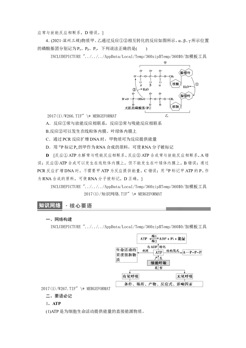 [12501779]高中生物一轮复习学案：第8讲　ATP与细胞呼吸_新高考复习资料_2023年新高考复习资料_一轮复习_精讲精练2023届新高考生物一轮复习学案