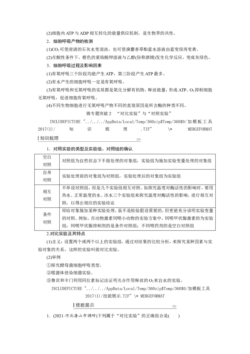 [12501779]高中生物一轮复习学案：第8讲　ATP与细胞呼吸_新高考复习资料_2023年新高考复习资料_一轮复习_精讲精练2023届新高考生物一轮复习学案