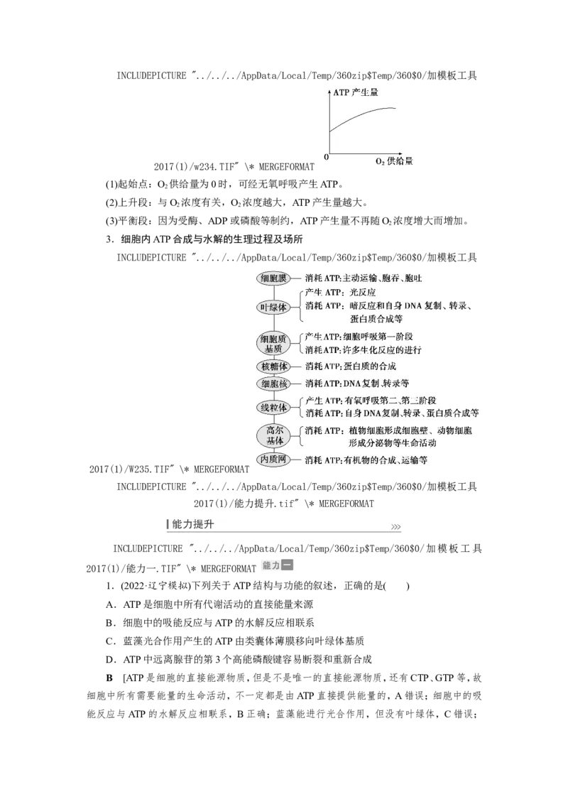 [12501779]高中生物一轮复习学案：第8讲　ATP与细胞呼吸_新高考复习资料_2023年新高考复习资料_一轮复习_精讲精练2023届新高考生物一轮复习学案