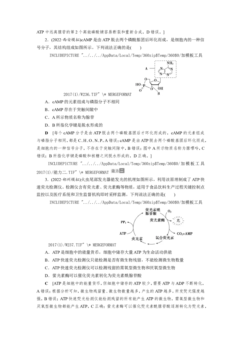 [12501779]高中生物一轮复习学案：第8讲　ATP与细胞呼吸_新高考复习资料_2023年新高考复习资料_一轮复习_精讲精练2023届新高考生物一轮复习学案