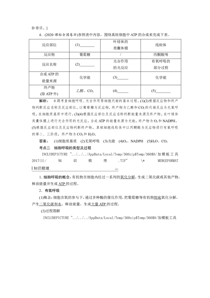 [12501779]高中生物一轮复习学案：第8讲　ATP与细胞呼吸_新高考复习资料_2023年新高考复习资料_一轮复习_精讲精练2023届新高考生物一轮复习学案
