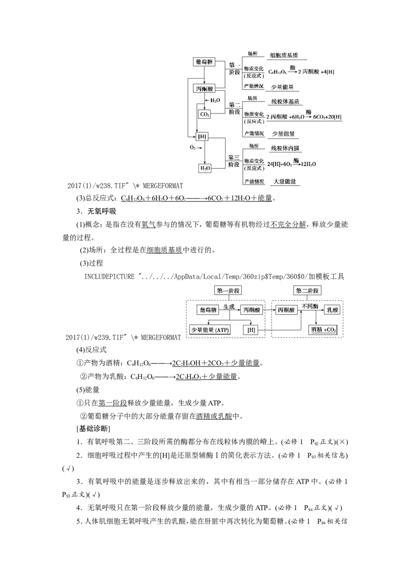 [12501779]高中生物一轮复习学案：第8讲　ATP与细胞呼吸_新高考复习资料_2023年新高考复习资料_一轮复习_精讲精练2023届新高考生物一轮复习学案