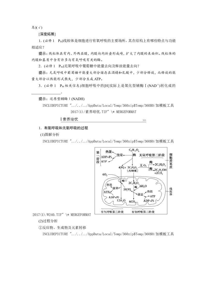 [12501779]高中生物一轮复习学案：第8讲　ATP与细胞呼吸_新高考复习资料_2023年新高考复习资料_一轮复习_精讲精练2023届新高考生物一轮复习学案