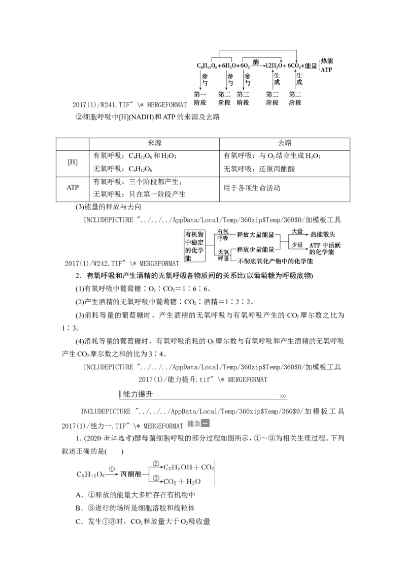 [12501779]高中生物一轮复习学案：第8讲　ATP与细胞呼吸_新高考复习资料_2023年新高考复习资料_一轮复习_精讲精练2023届新高考生物一轮复习学案