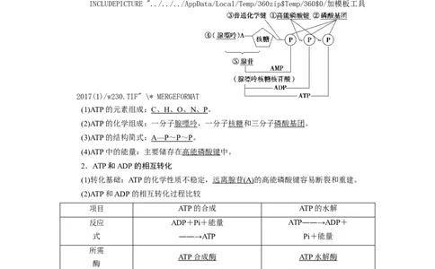 [12501779]高中生物一轮复习学案：第8讲　ATP与细胞呼吸_新高考复习资料_2023年新高考复习资料_一轮复习_精讲精练2023届新高考生物一轮复习学案