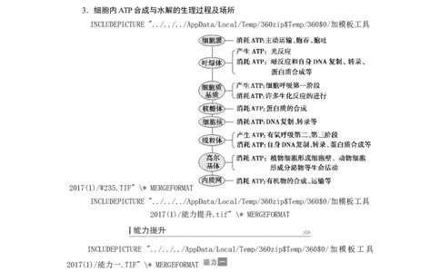 [12501779]高中生物一轮复习学案：第8讲　ATP与细胞呼吸_新高考复习资料_2023年新高考复习资料_一轮复习_精讲精练2023届新高考生物一轮复习学案