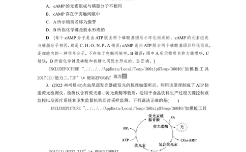 [12501779]高中生物一轮复习学案：第8讲　ATP与细胞呼吸_新高考复习资料_2023年新高考复习资料_一轮复习_精讲精练2023届新高考生物一轮复习学案