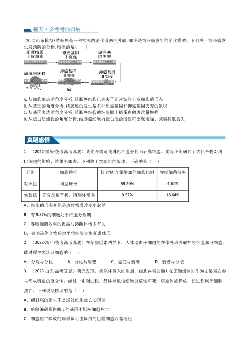 第14讲细胞的分化、衰老、死亡和癌变（讲义）（学生版）_2024年新高考资料_1.2024一轮复习_2024年高考生物一轮复习讲练测（新教材新高考）