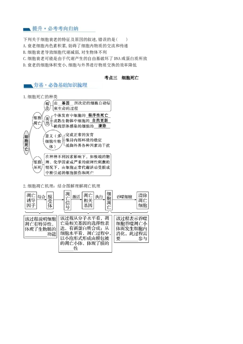 第14讲细胞的分化、衰老、死亡和癌变（讲义）（学生版）_2024年新高考资料_1.2024一轮复习_2024年高考生物一轮复习讲练测（新教材新高考）