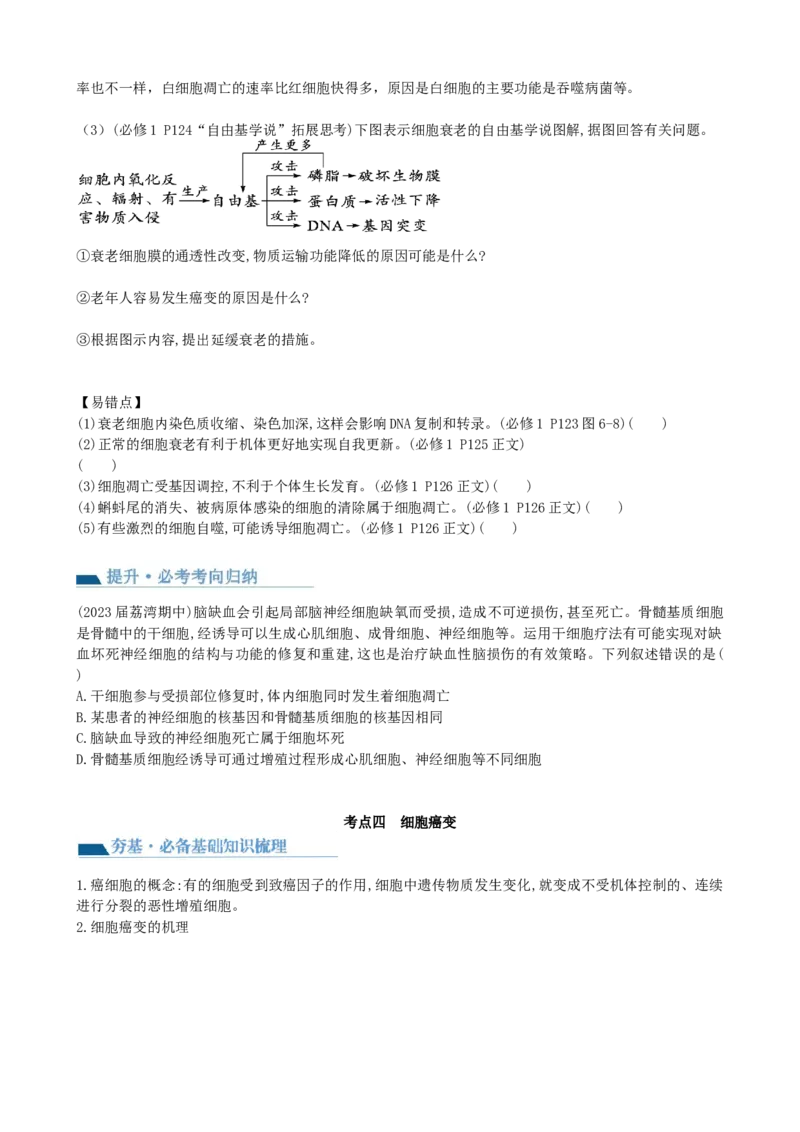 第14讲细胞的分化、衰老、死亡和癌变（讲义）（学生版）_2024年新高考资料_1.2024一轮复习_2024年高考生物一轮复习讲练测（新教材新高考）