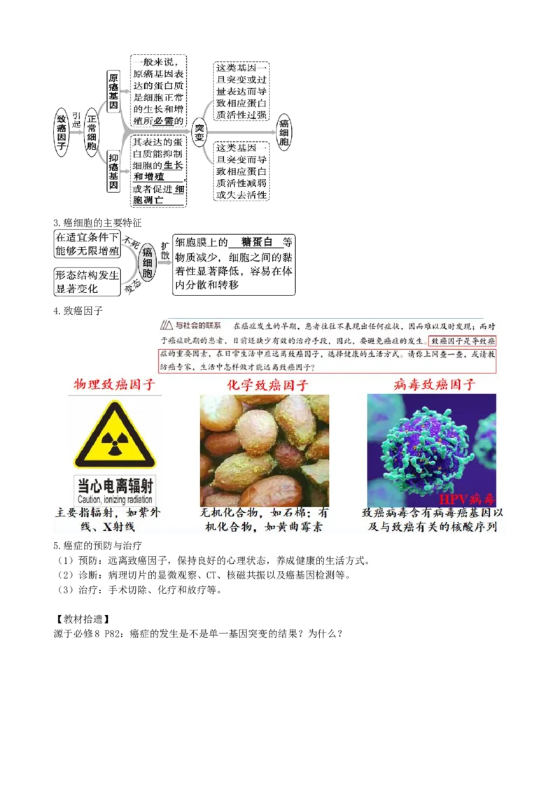 第14讲细胞的分化、衰老、死亡和癌变（讲义）（学生版）_2024年新高考资料_1.2024一轮复习_2024年高考生物一轮复习讲练测（新教材新高考）