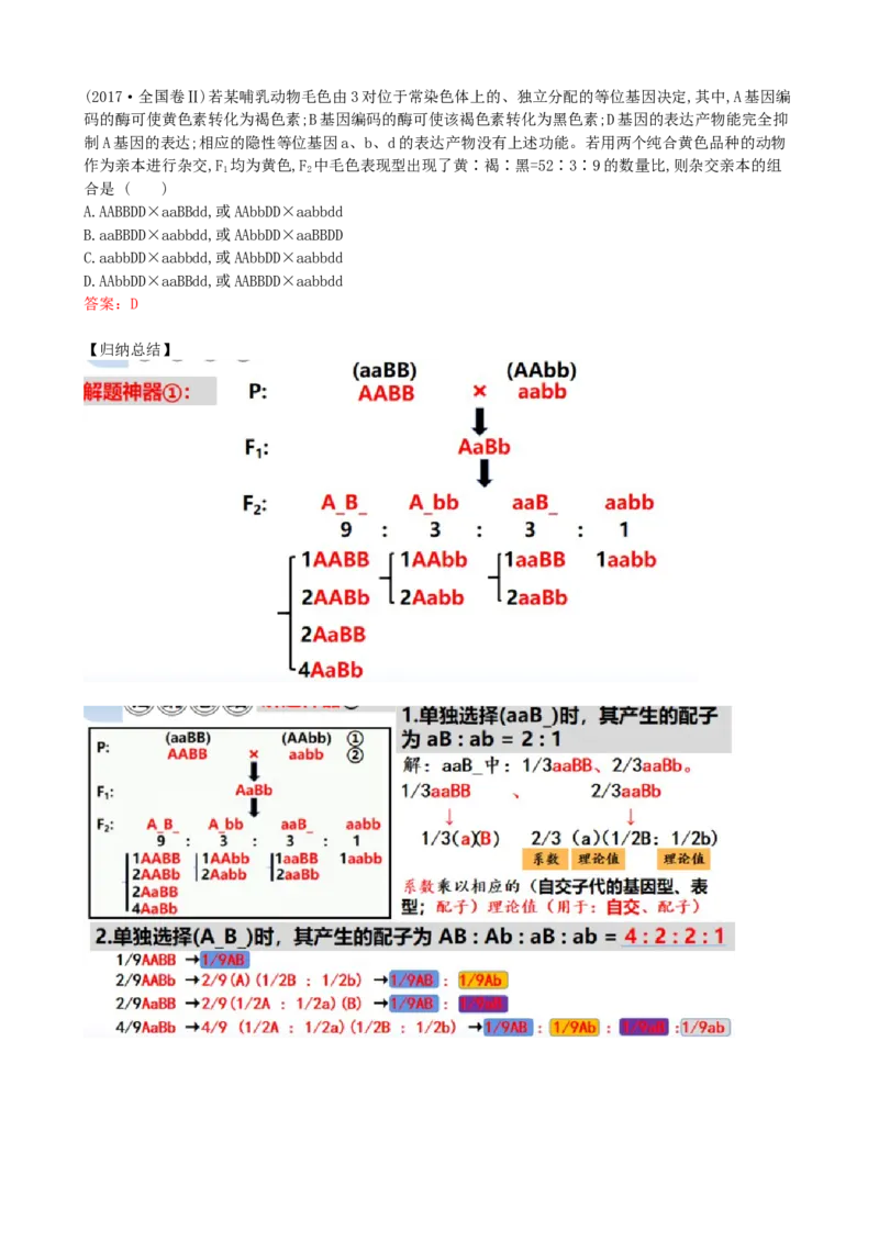 第17.1讲基因的自由组合定律（讲义）（教师版）_2024年新高考资料_1.2024一轮复习_2024年高考生物一轮复习讲练测（新教材新高考）
