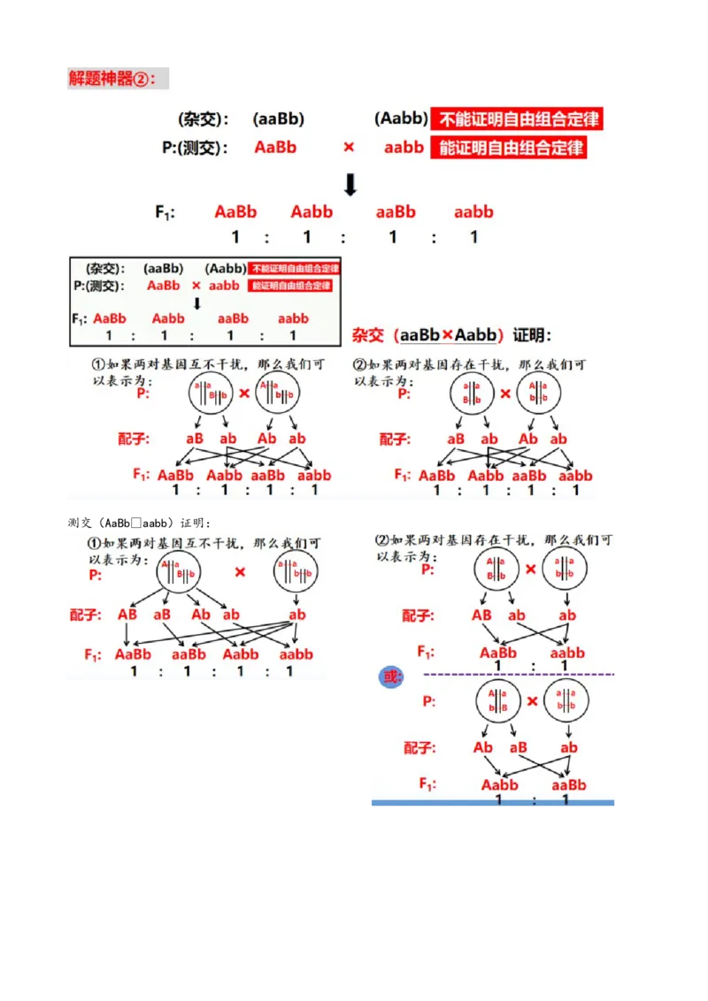 第17.1讲基因的自由组合定律（讲义）（教师版）_2024年新高考资料_1.2024一轮复习_2024年高考生物一轮复习讲练测（新教材新高考）
