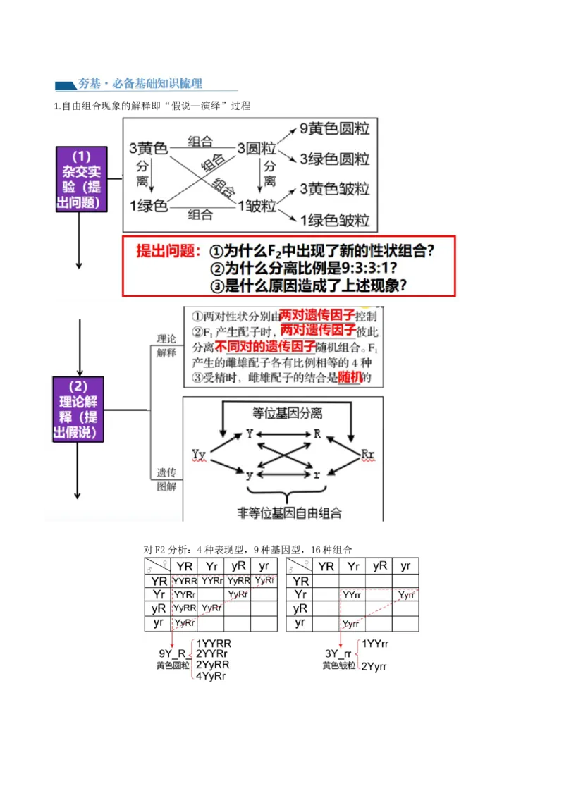 第17.1讲基因的自由组合定律（讲义）（教师版）_2024年新高考资料_1.2024一轮复习_2024年高考生物一轮复习讲练测（新教材新高考）