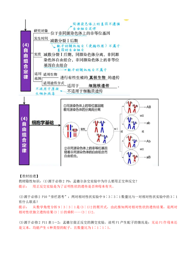 第17.1讲基因的自由组合定律（讲义）（教师版）_2024年新高考资料_1.2024一轮复习_2024年高考生物一轮复习讲练测（新教材新高考）
