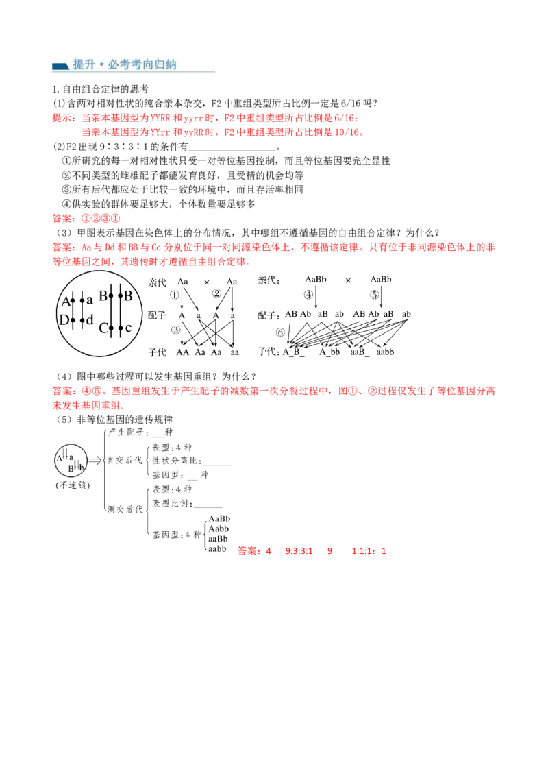 第17.1讲基因的自由组合定律（讲义）（教师版）_2024年新高考资料_1.2024一轮复习_2024年高考生物一轮复习讲练测（新教材新高考）