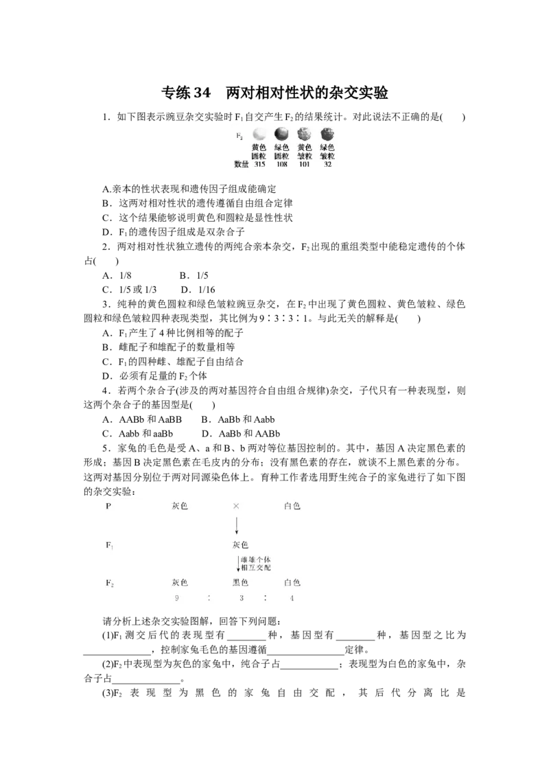 专练34　两对相对性状的杂交实验_通用版（老高考）复习资料_2023年复习资料_专项复习_2023《微专题&middot;小练习》&middot;生物