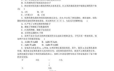 专练34　两对相对性状的杂交实验_通用版（老高考）复习资料_2023年复习资料_专项复习_2023《微专题&middot;小练习》&middot;生物