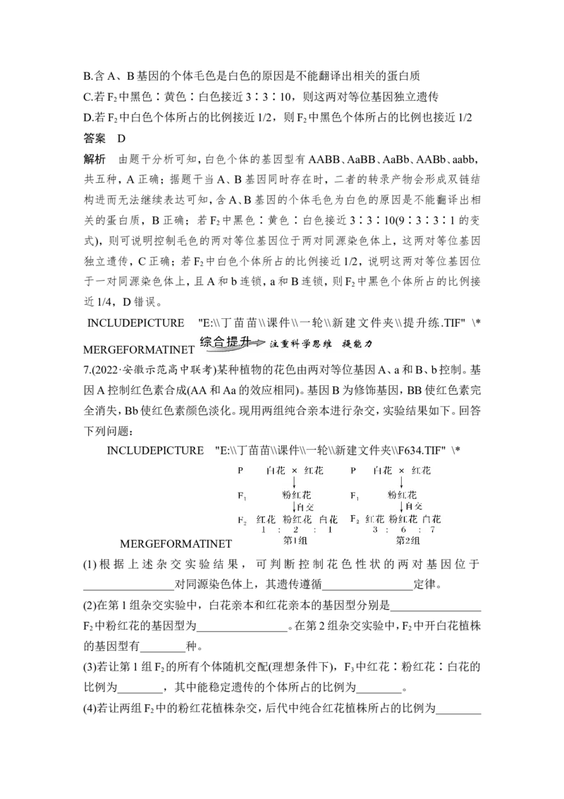 第14讲基因的自由组合定律_2024年新高考资料_1.2024一轮复习_2024年高考生物一轮复习讲义（新人教版）_另附1套Word版题库_必修2_第五单元遗传的基本规律