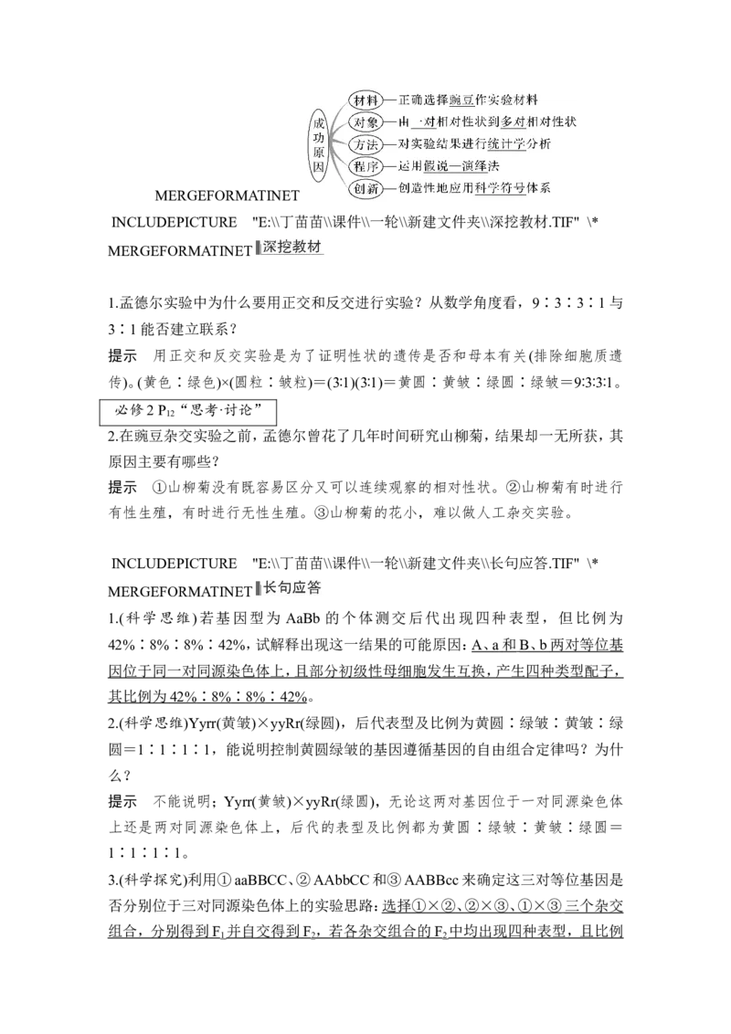 第14讲基因的自由组合定律_2024年新高考资料_1.2024一轮复习_2024年高考生物一轮复习讲义（新人教版）_另附1套Word版题库_必修2_第五单元遗传的基本规律