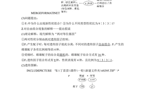 第14讲基因的自由组合定律_2024年新高考资料_1.2024一轮复习_2024年高考生物一轮复习讲义（新人教版）_另附1套Word版题库_必修2_第五单元遗传的基本规律
