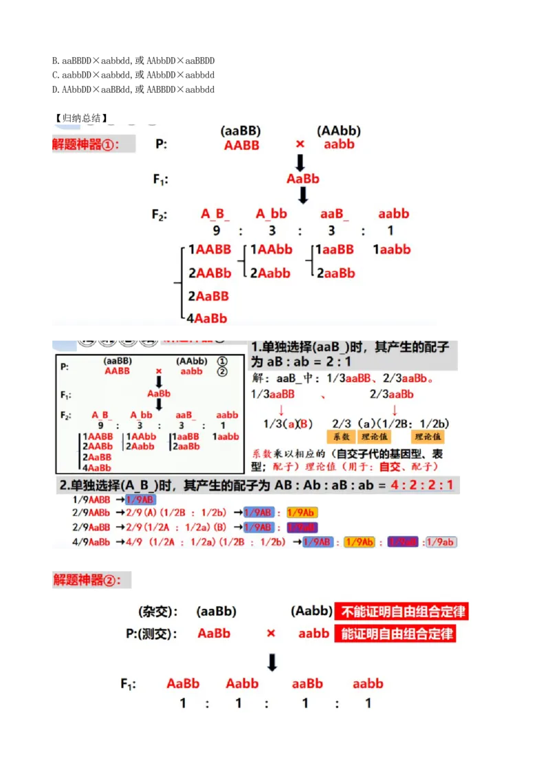 第17.1讲基因的自由组合定律（讲义）（学生版）_2024年新高考资料_1.2024一轮复习_2024年高考生物一轮复习讲练测（新教材新高考）