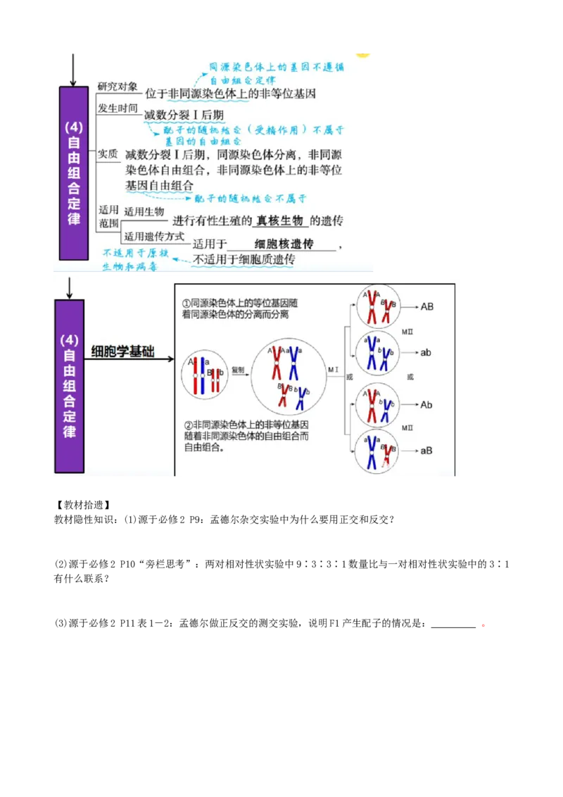 第17.1讲基因的自由组合定律（讲义）（学生版）_2024年新高考资料_1.2024一轮复习_2024年高考生物一轮复习讲练测（新教材新高考）