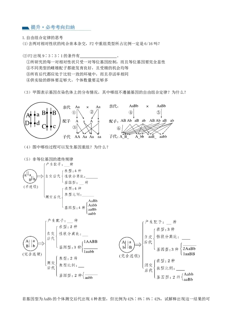 第17.1讲基因的自由组合定律（讲义）（学生版）_2024年新高考资料_1.2024一轮复习_2024年高考生物一轮复习讲练测（新教材新高考）