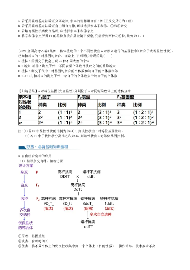 第17.1讲基因的自由组合定律（讲义）（学生版）_2024年新高考资料_1.2024一轮复习_2024年高考生物一轮复习讲练测（新教材新高考）