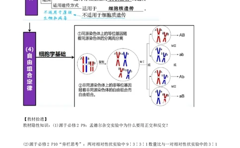 第17.1讲基因的自由组合定律（讲义）（学生版）_2024年新高考资料_1.2024一轮复习_2024年高考生物一轮复习讲练测（新教材新高考）