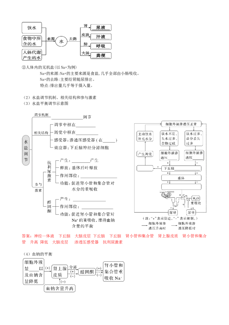 第28讲神经调节和体液调节的关系（讲义）（教师版）_2024年新高考资料_1.2024一轮复习_2024年高考生物一轮复习讲练测（新教材新高考）