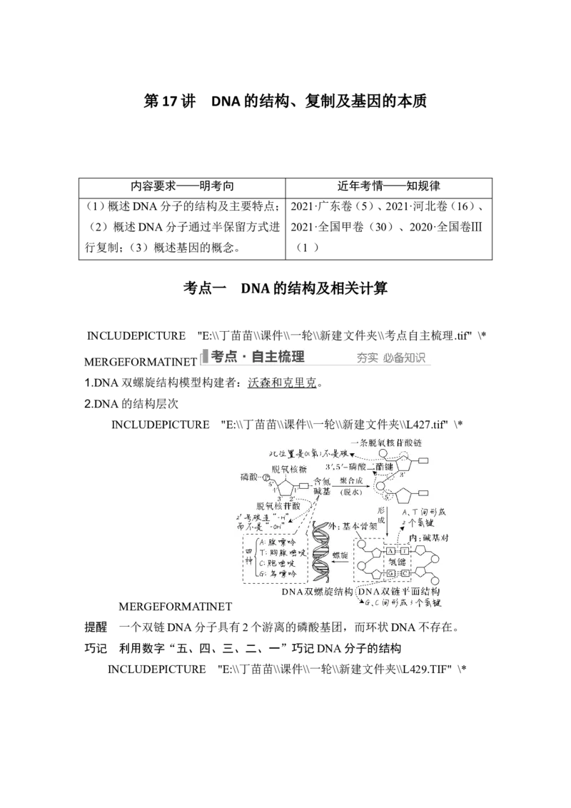 第17讲DNA的结构、复制及基因的本质_2024年新高考资料_1.2024一轮复习_2024年高考生物一轮复习讲义（新人教版）_另附1套Word版题库_必修2_第六单元遗传的分子基础